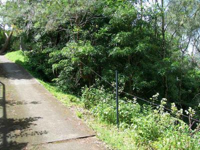 Lot 191, 38A Brushwood Place, Hornsby