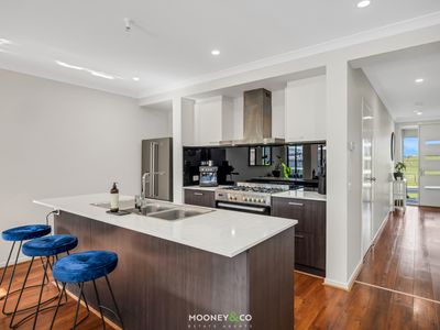 33 Scenery Drive, Clyde North