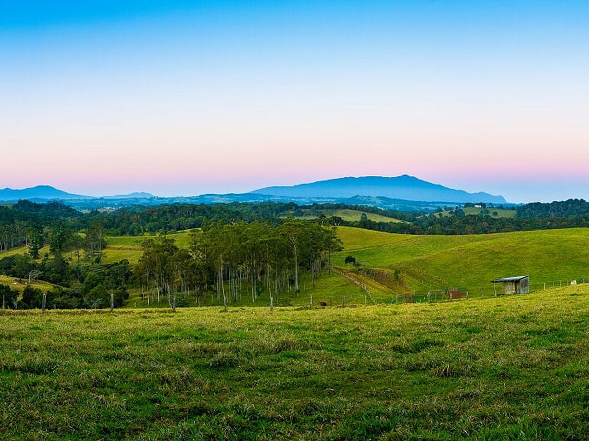 1654 MILLAA-MALANDA ROAD, Jaggan