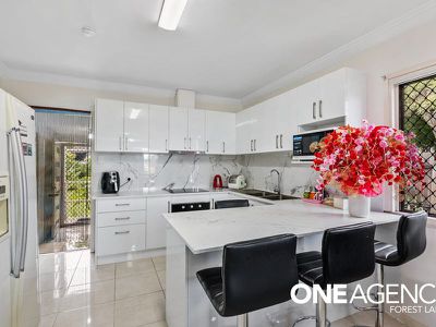 19 Japonica St, Inala