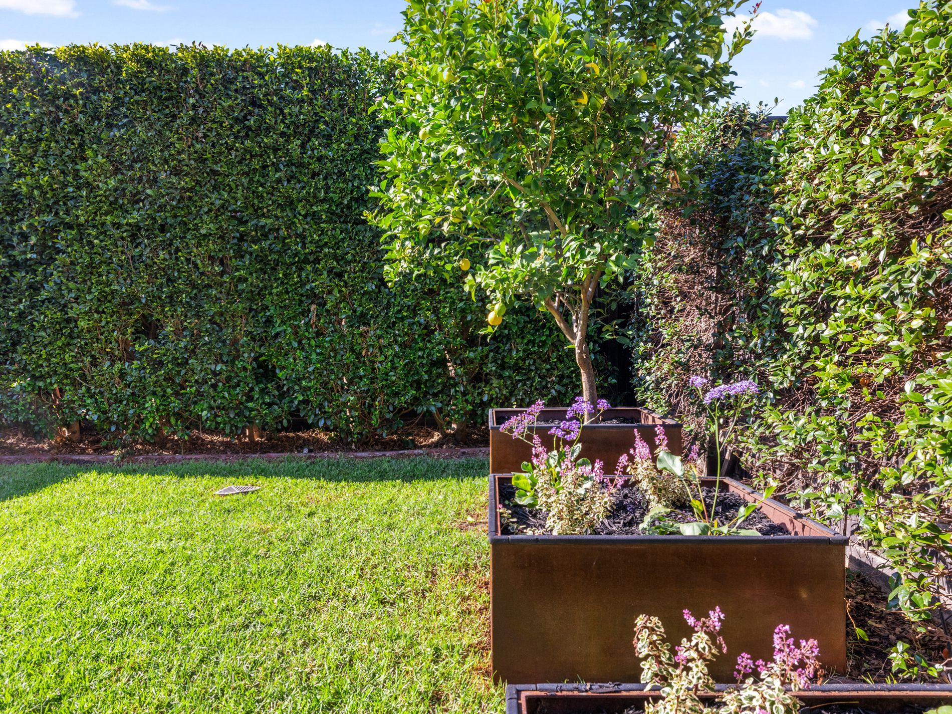 41 Bellairs Avenue, Yarraville