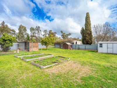 3 Wenke Street, Walla Walla