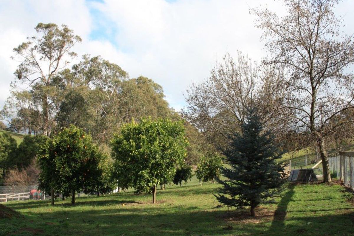 2591 Merton Euroa Road, Merton