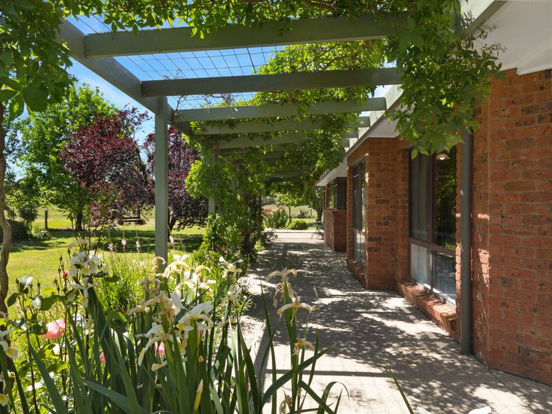 1007 Great Alpine Road, Tarrawingee