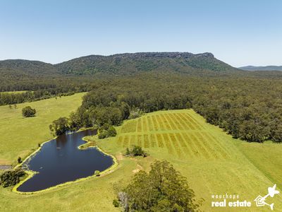 49 Bluffview Road, Wauchope