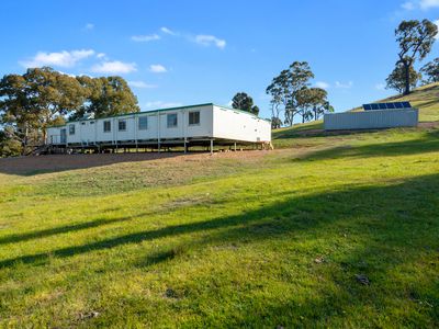 95 Daisyburn Road , Hilldene