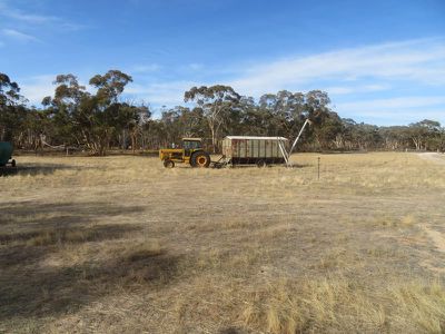 18717 / Mawson Doodenanning Balkuling, Quairading