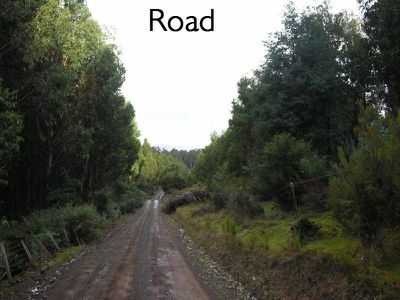 Maxfields Road, Franklin