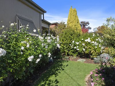 25 Anderson Street, Euroa
