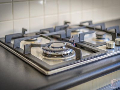 20 Raintree Terrace, Wadalba