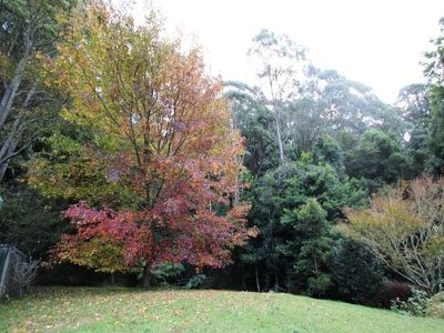 120 Parrish's Rd, Kangaroo Valley