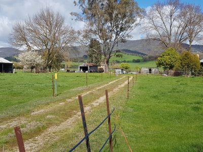 56 Tallangatta Creek Road, Tallangatta Valley