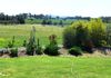 1727 Forest Reefs Road, Spring Terrace