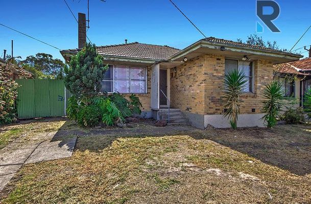 60 Sunset Boulevard, Jacana