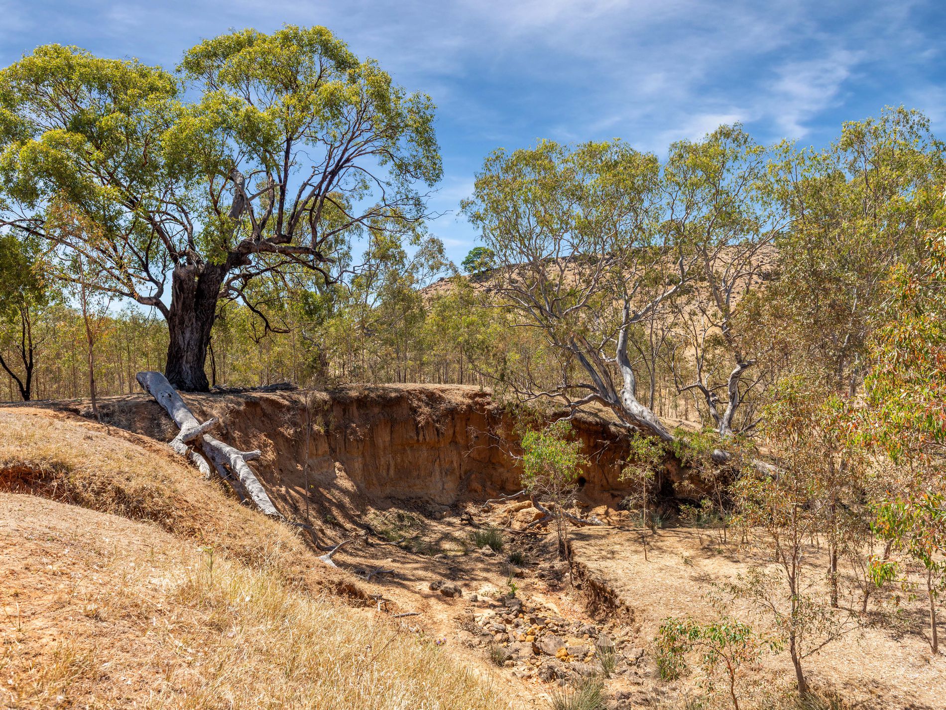 93 Axedale Quarry Road, Axedale