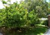 76 McLachlan Street, Orange