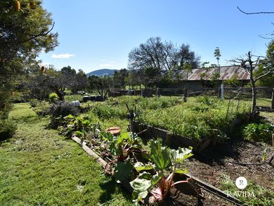 409 Back Creek Road, Yackandandah