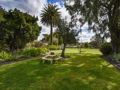 159 Williams Road, Millicent