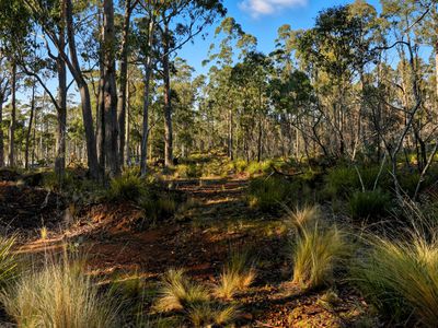 123 Lake View Road, Lake Leake