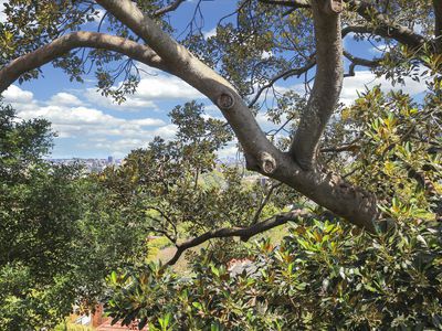 417 / 433 Alfred Street North, Neutral Bay