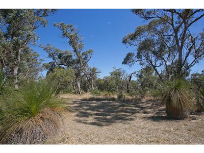 156B Cobb Street, Doubleview