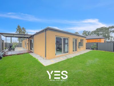 49 Springleaf Avenue, Clyde North