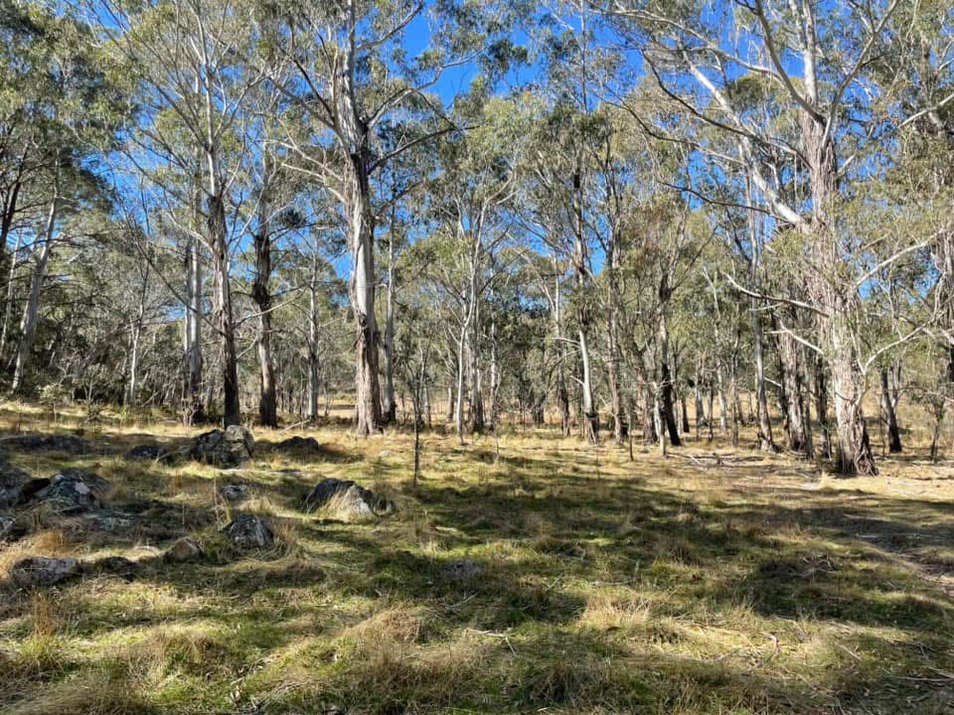 681 Hereford Hall Road, Hereford Hall via, Braidwood