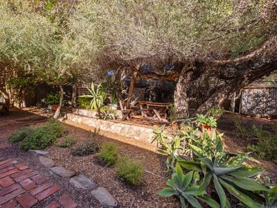 59 Wattle Avenue, Hove