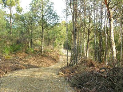 Lot 4 Jacksons Road, Franklin
