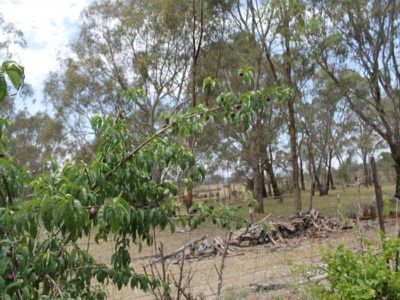 49 Peters Gully Road, Heathcote