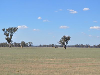 . Henty-walla Road, Culcairn