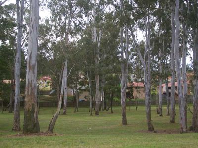 Bundamba