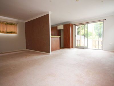 3 Phillip Street, Roselands