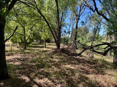 660 Warral Road, Tamworth