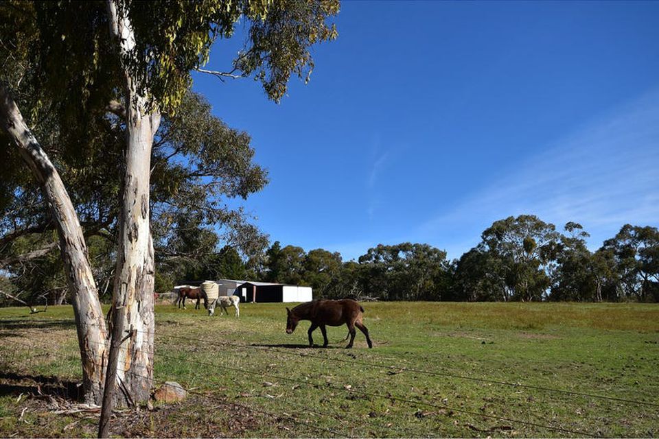 184 Canham Road, Birdwood