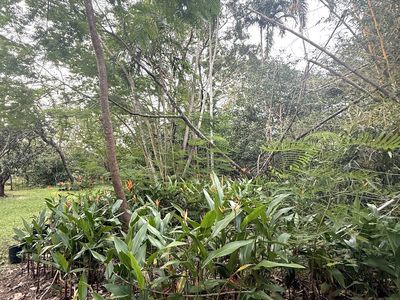 35 Cypress Road, Humpty Doo