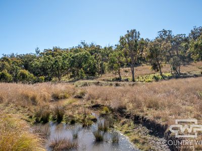 Lot 12, 212 Mole Station Road, Tenterfield