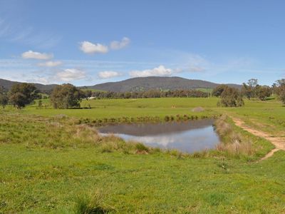. Tomkins Lane, Allans Flat