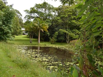 37 Teutoberg Avenue, Maleny
