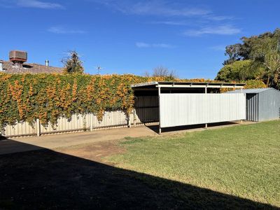 95 Petra Avenue, Tamworth