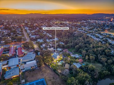 147 Lynne Grove Avenue, Corinda