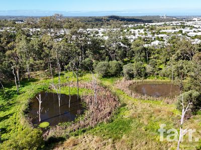 118 Nambucca Crescent, Pimpama