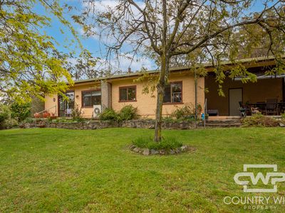 7 Ward Crescent, Glen Innes