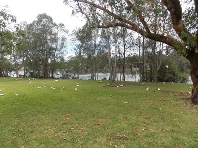 25 Newport Rd, Dora Creek