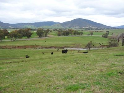 Yackandandah Myrtleford Road, Yackandandah