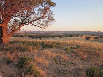 75 Lambing Gully Rd, Whiteheads Creek