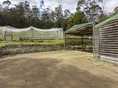 61 Turn Creek Road, Grove