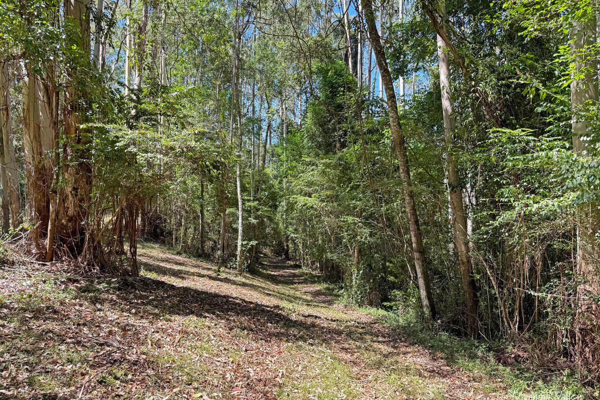 90 Tallowood Lane, Hannam Vale