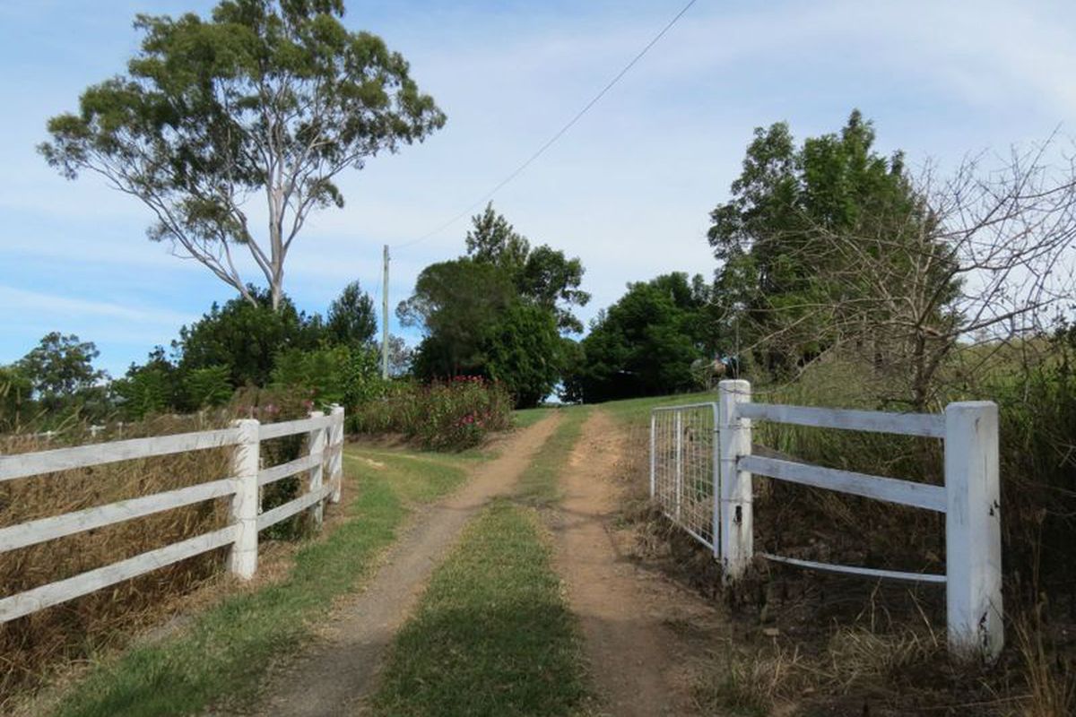 Tinonee