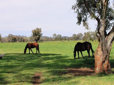 228 / Perryman Lane, Table Top